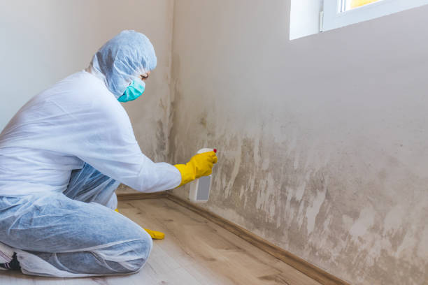 Best Mold Removal for HVAC Installations  in Girardville, PA